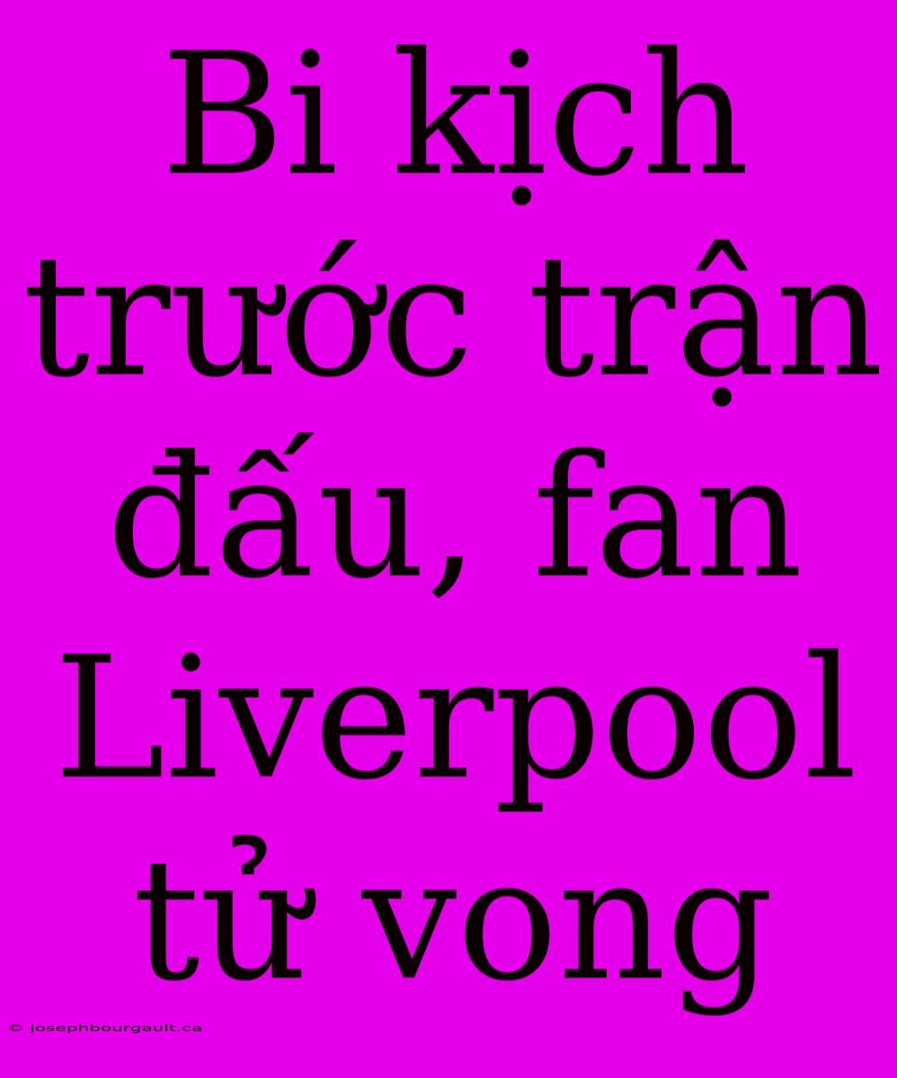 Bi Kịch Trước Trận Đấu, Fan Liverpool Tử Vong