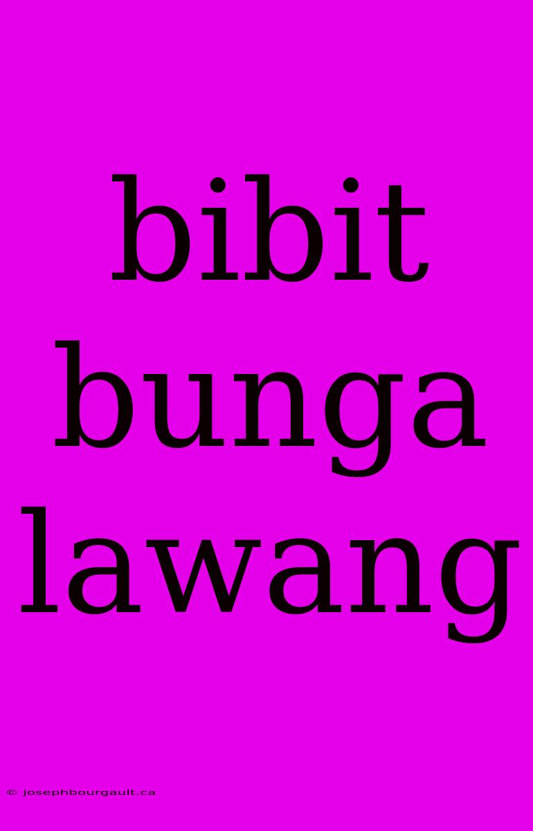 Bibit Bunga Lawang