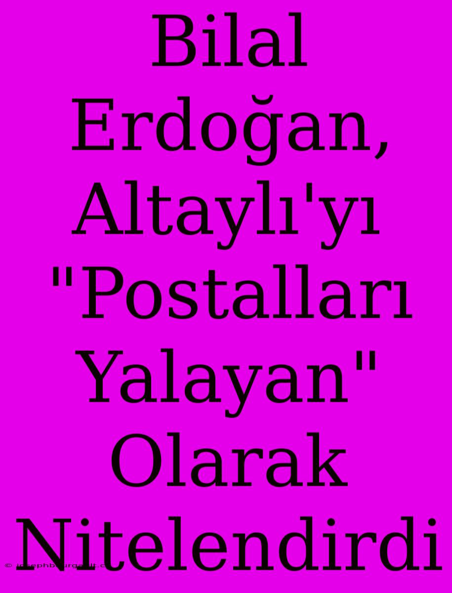 Bilal Erdoğan, Altaylı'yı 