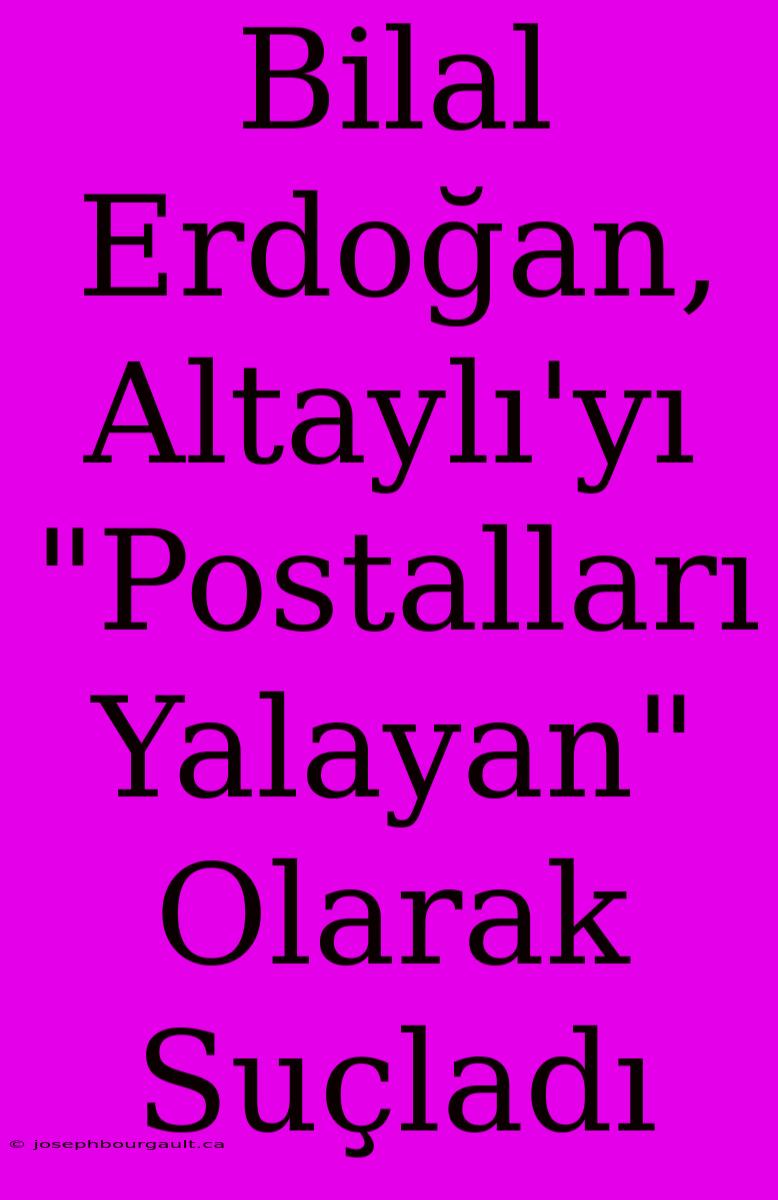 Bilal Erdoğan, Altaylı'yı 