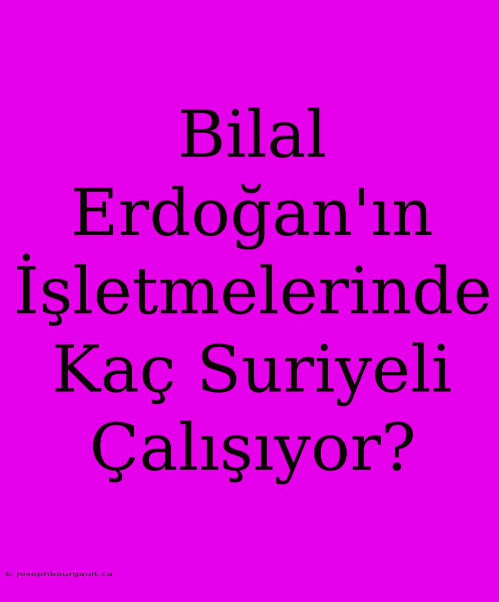 Bilal Erdoğan'ın İşletmelerinde Kaç Suriyeli Çalışıyor?