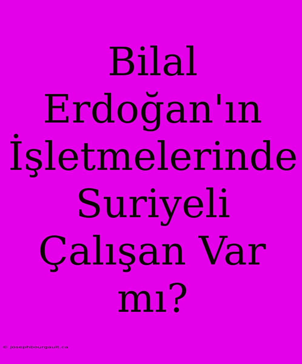 Bilal Erdoğan'ın İşletmelerinde Suriyeli Çalışan Var Mı?