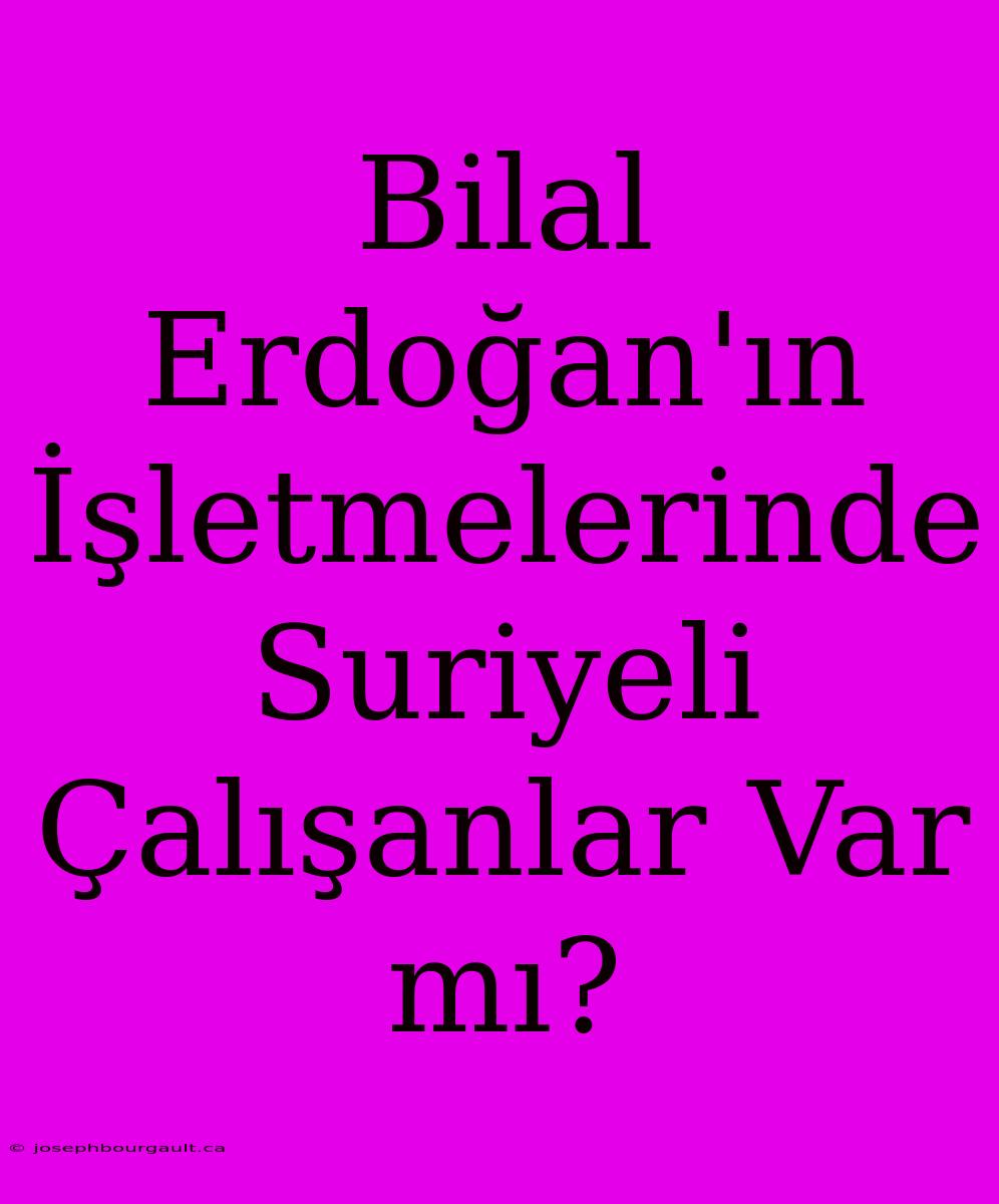 Bilal Erdoğan'ın İşletmelerinde Suriyeli Çalışanlar Var Mı?