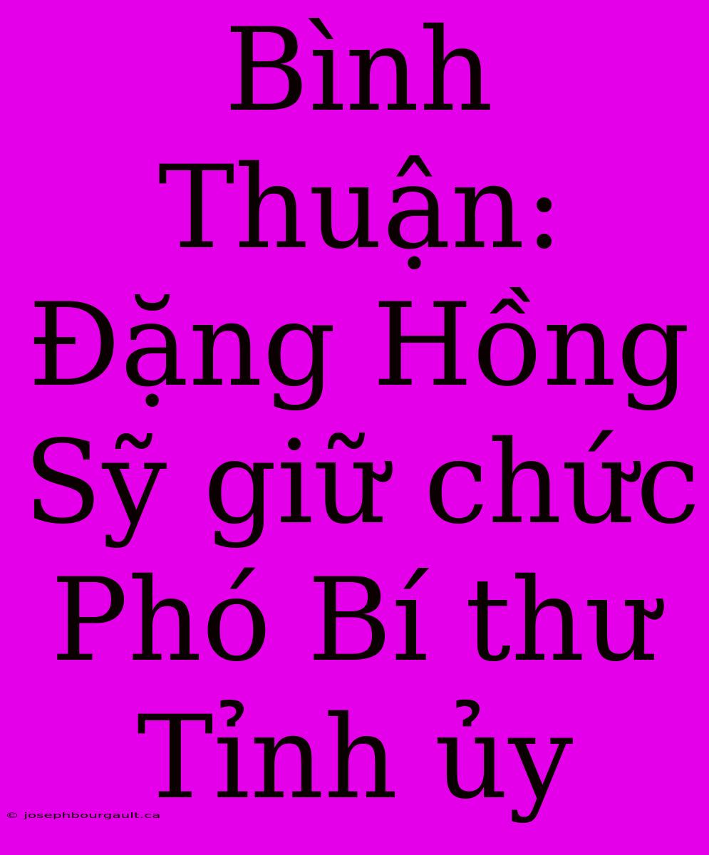 Bình Thuận: Đặng Hồng Sỹ Giữ Chức Phó Bí Thư Tỉnh Ủy