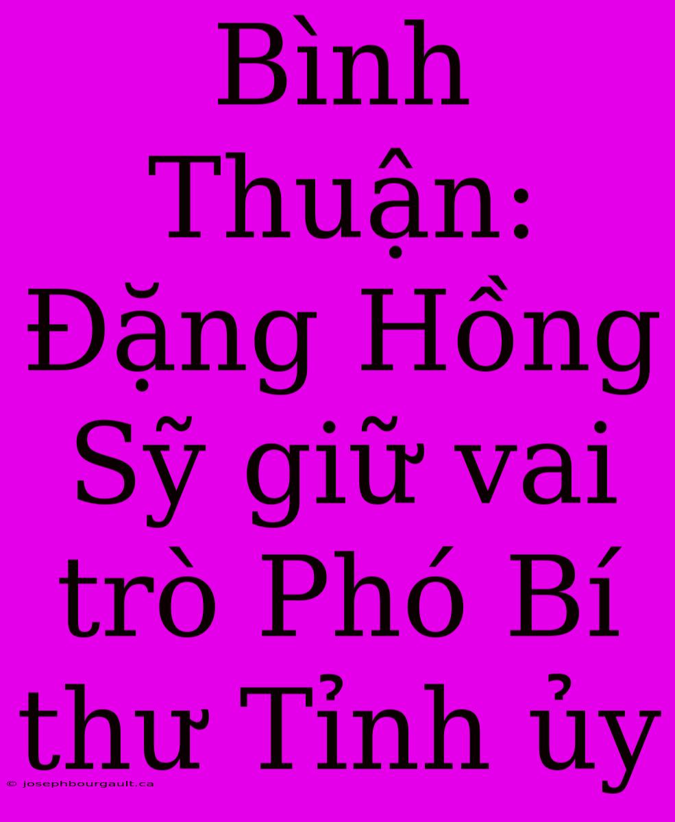 Bình Thuận: Đặng Hồng Sỹ Giữ Vai Trò Phó Bí Thư Tỉnh Ủy