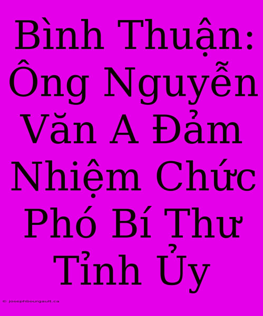 Bình Thuận: Ông Nguyễn Văn A Đảm Nhiệm Chức Phó Bí Thư Tỉnh Ủy