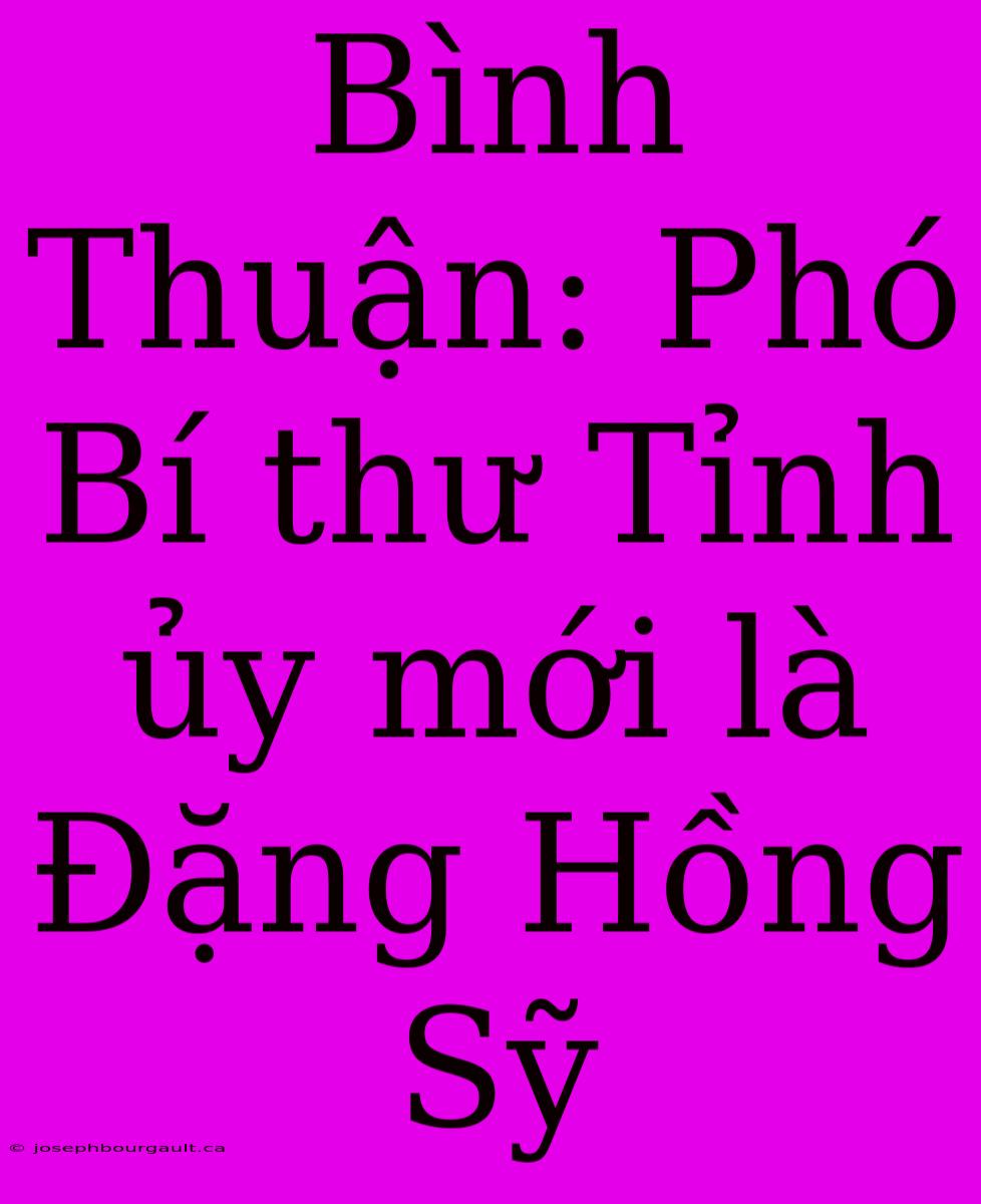 Bình Thuận: Phó Bí Thư Tỉnh Ủy Mới Là Đặng Hồng Sỹ