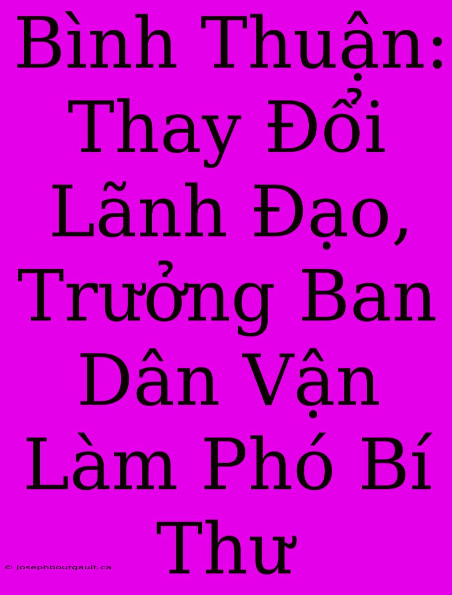 Bình Thuận: Thay Đổi Lãnh Đạo, Trưởng Ban Dân Vận Làm Phó Bí Thư