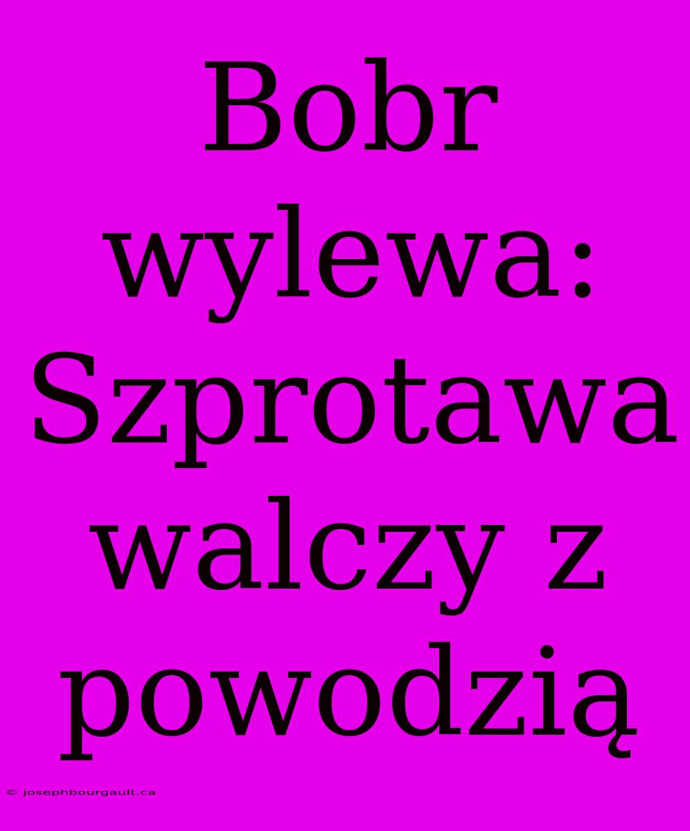 Bobr Wylewa: Szprotawa Walczy Z Powodzią