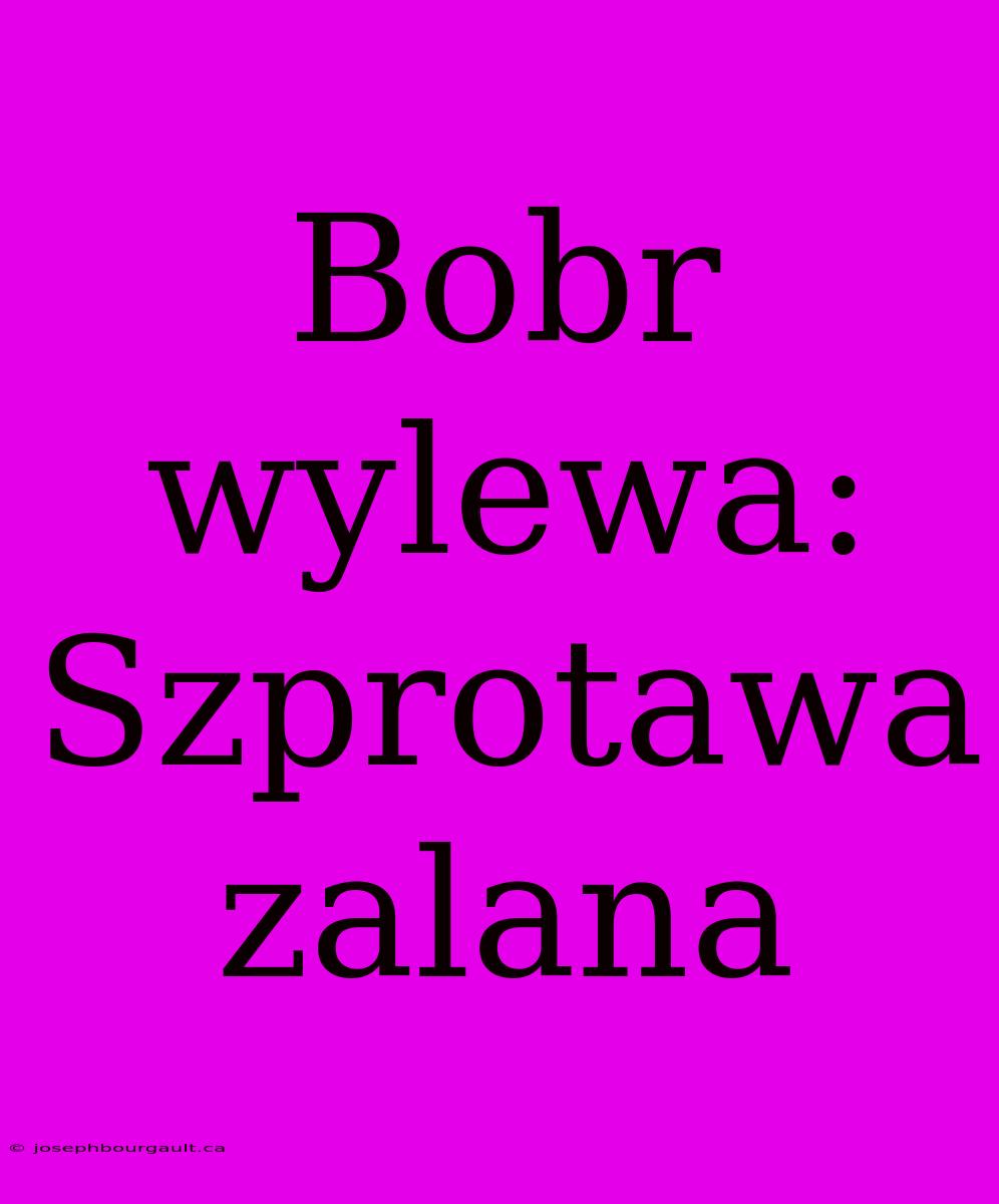 Bobr Wylewa: Szprotawa Zalana