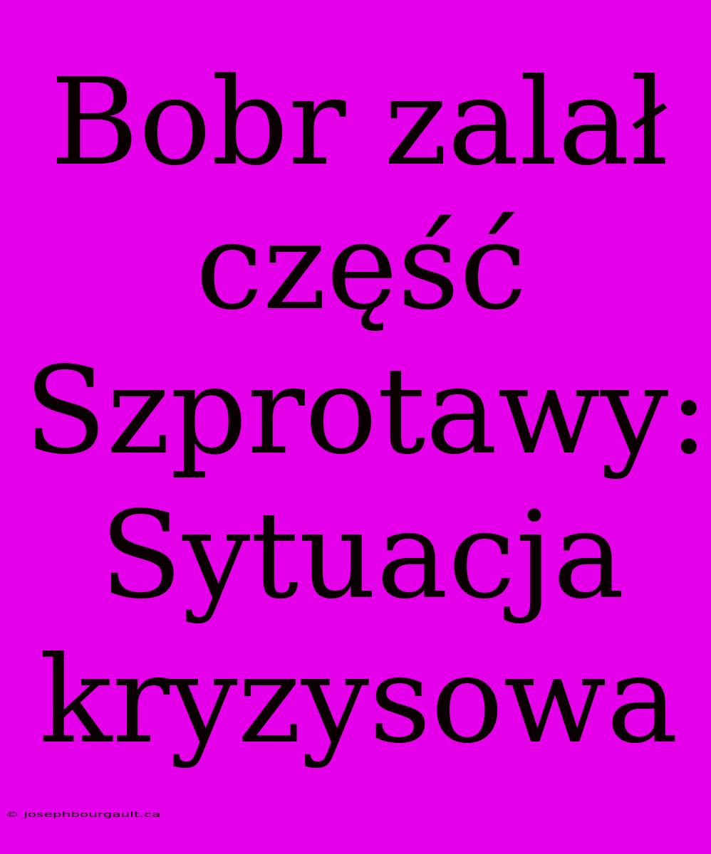 Bobr Zalał Część Szprotawy: Sytuacja Kryzysowa