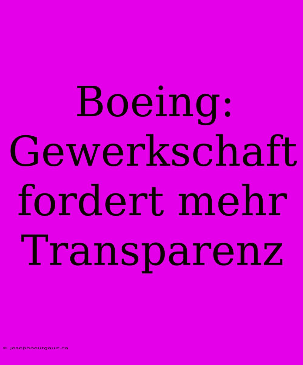 Boeing: Gewerkschaft Fordert Mehr Transparenz