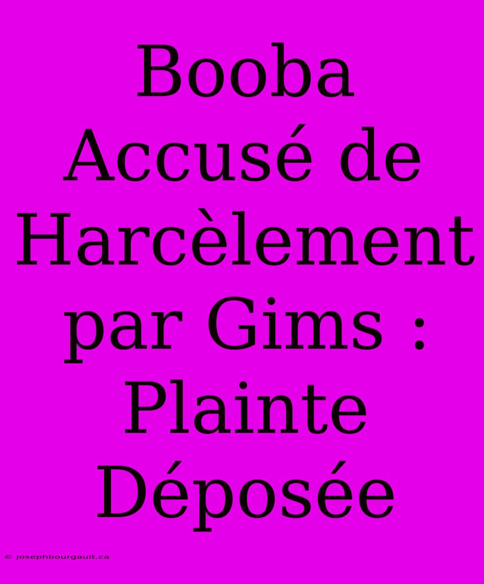 Booba Accusé De Harcèlement Par Gims : Plainte Déposée