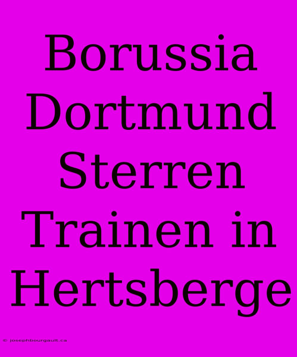 Borussia Dortmund Sterren Trainen In Hertsberge