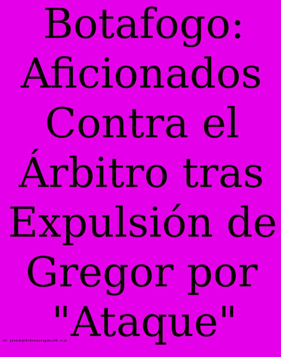 Botafogo: Aficionados Contra El Árbitro Tras Expulsión De Gregor Por 