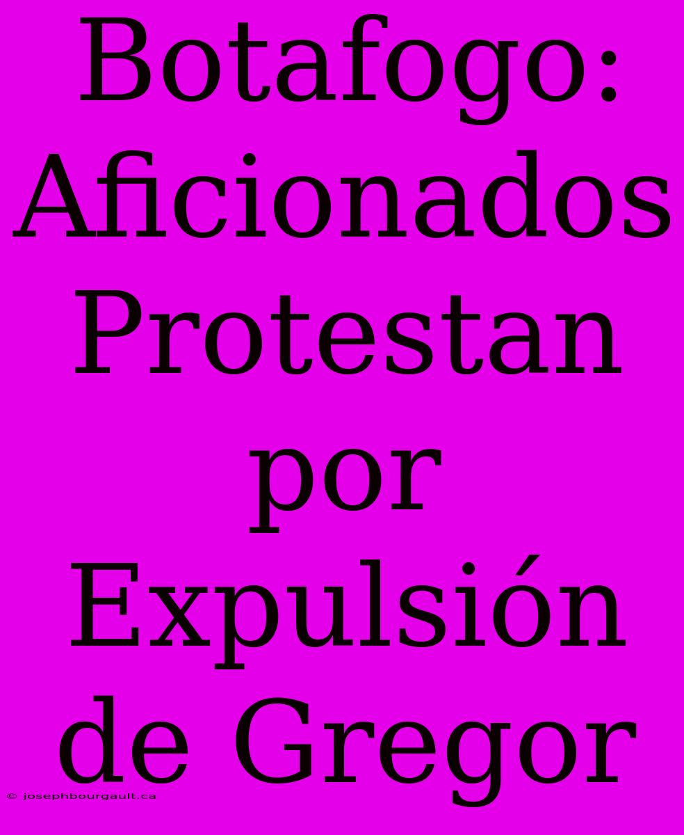 Botafogo: Aficionados Protestan Por Expulsión De Gregor