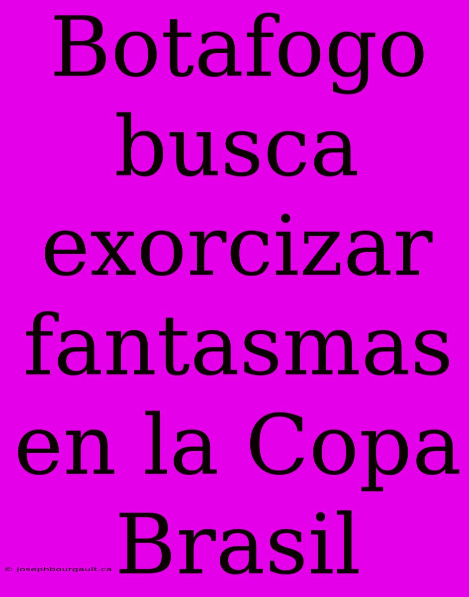 Botafogo Busca Exorcizar Fantasmas En La Copa Brasil