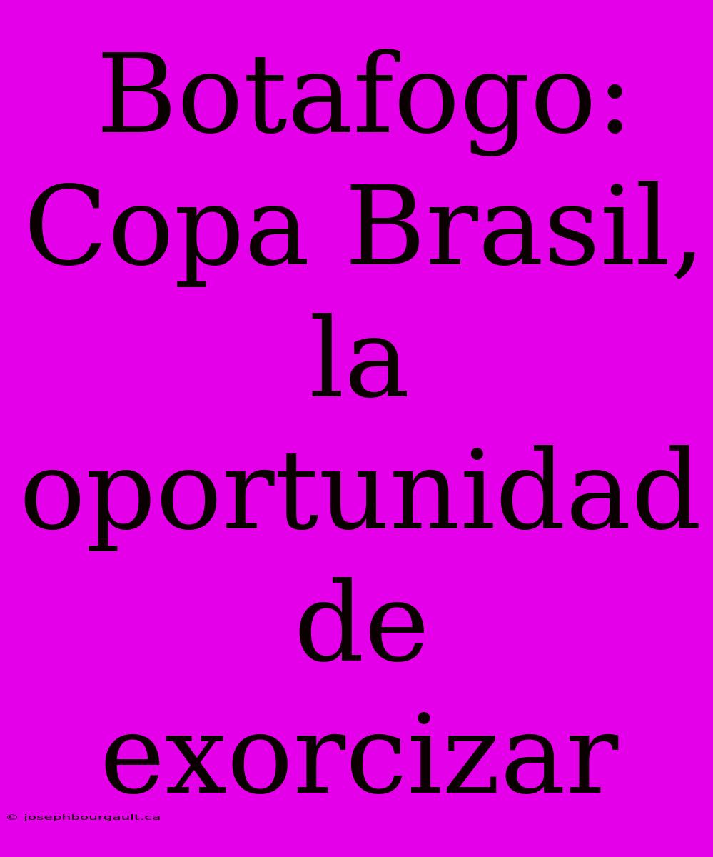 Botafogo: Copa Brasil, La Oportunidad De Exorcizar