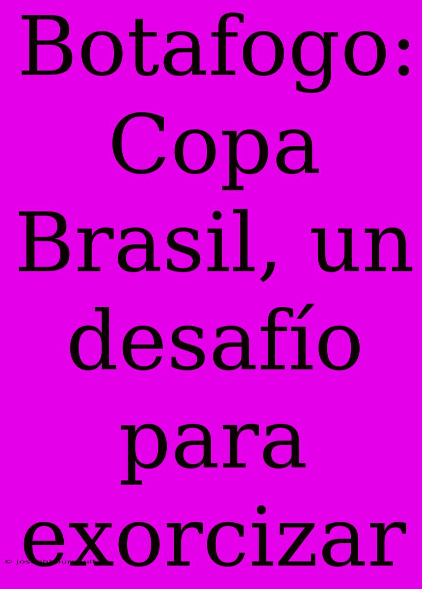 Botafogo: Copa Brasil, Un Desafío Para Exorcizar