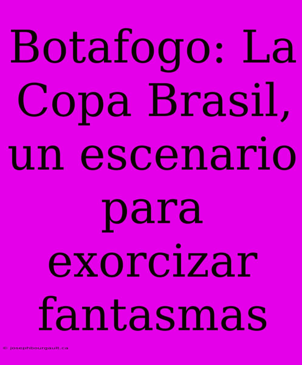 Botafogo: La Copa Brasil, Un Escenario Para Exorcizar Fantasmas