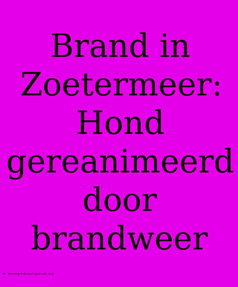 Brand In Zoetermeer: Hond Gereanimeerd Door Brandweer