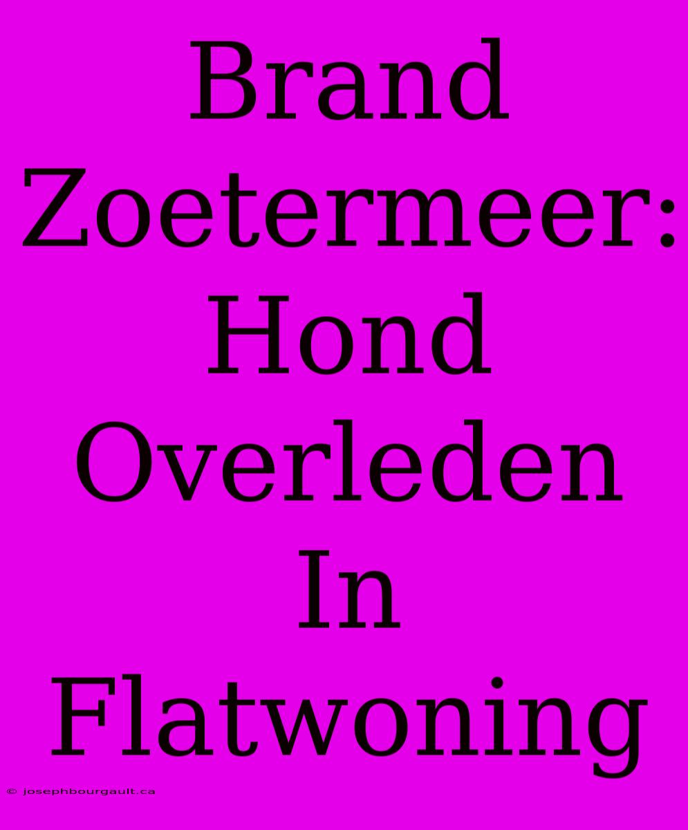 Brand Zoetermeer: Hond Overleden In Flatwoning