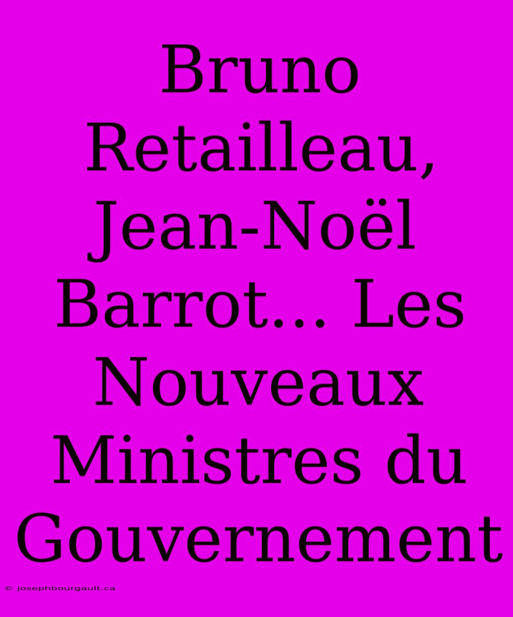 Bruno Retailleau, Jean-Noël Barrot... Les Nouveaux Ministres Du Gouvernement