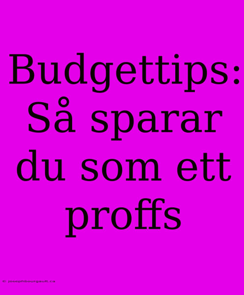 Budgettips: Så Sparar Du Som Ett Proffs