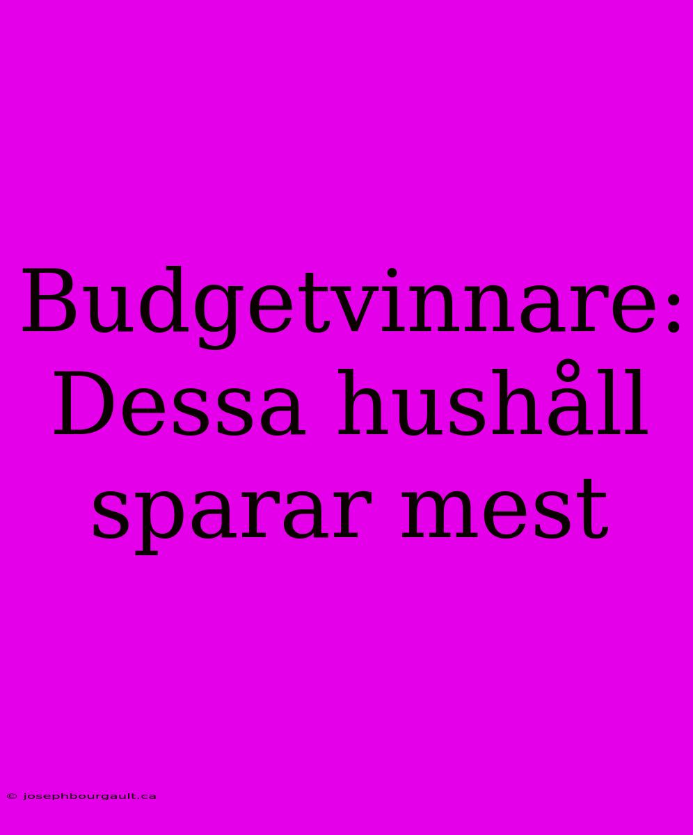 Budgetvinnare: Dessa Hushåll Sparar Mest