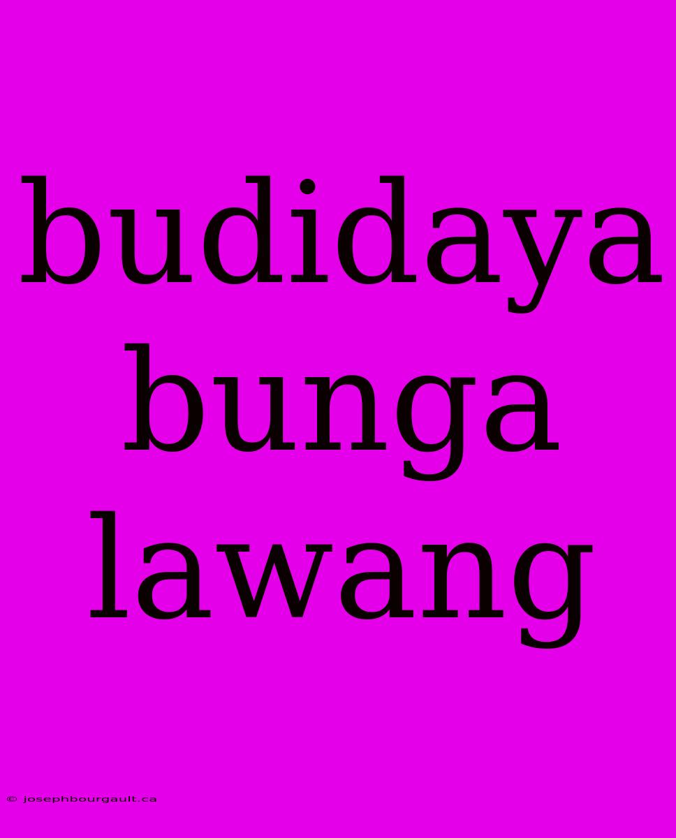 Budidaya Bunga Lawang