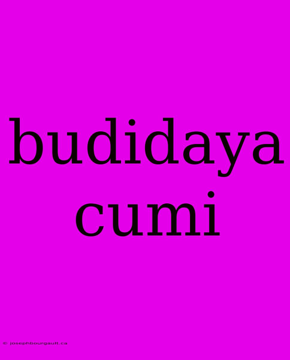 Budidaya Cumi