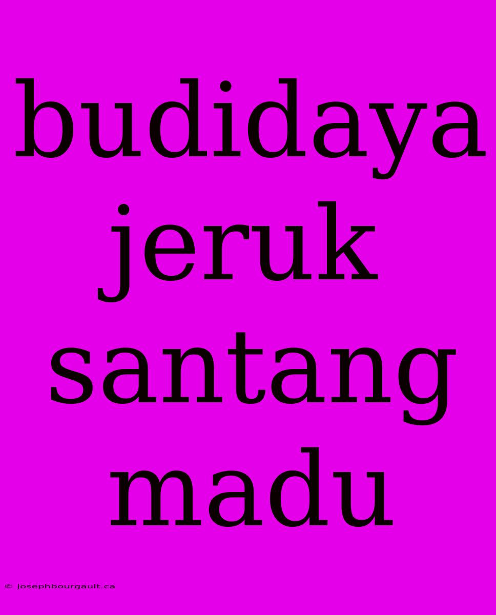 Budidaya Jeruk Santang Madu