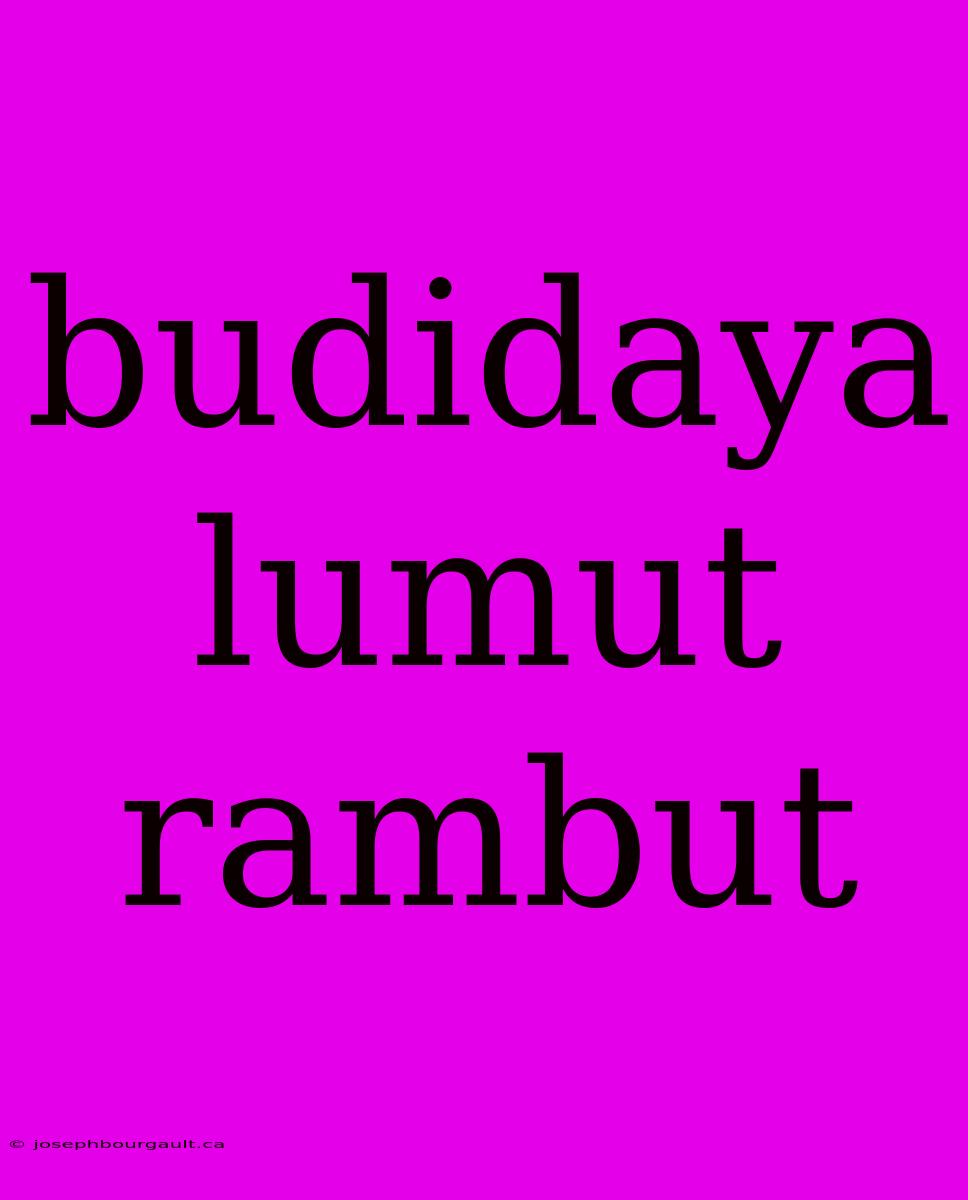 Budidaya Lumut Rambut