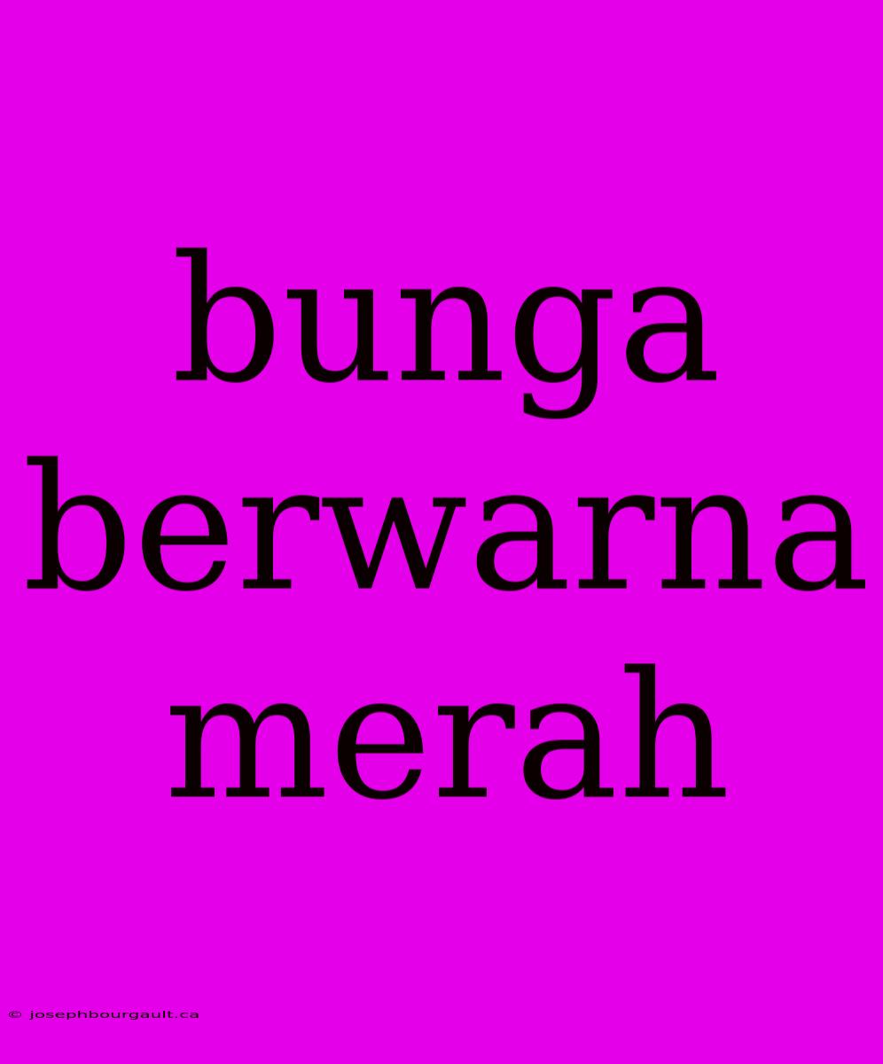 Bunga Berwarna Merah