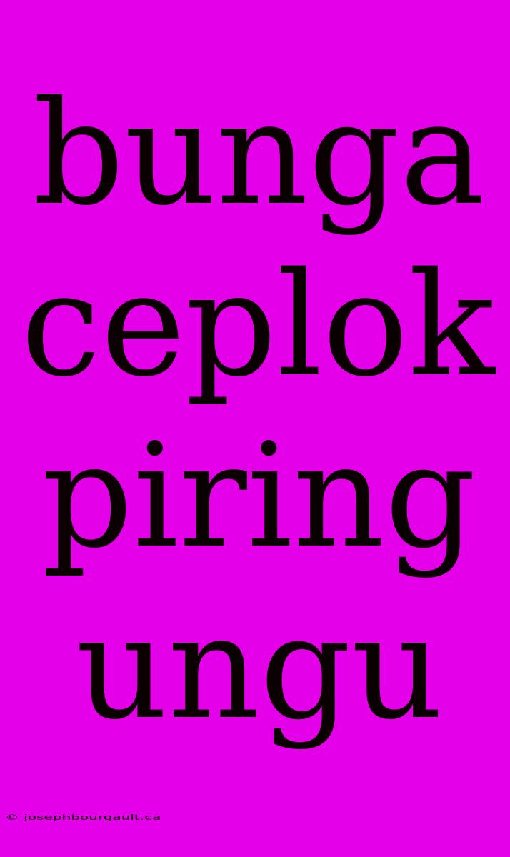 Bunga Ceplok Piring Ungu