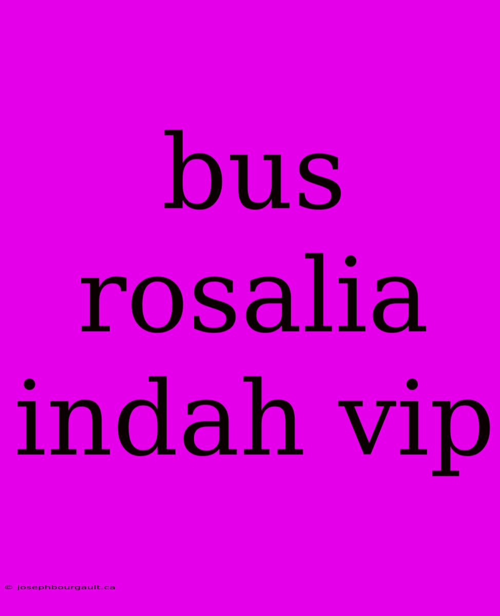 Bus Rosalia Indah Vip