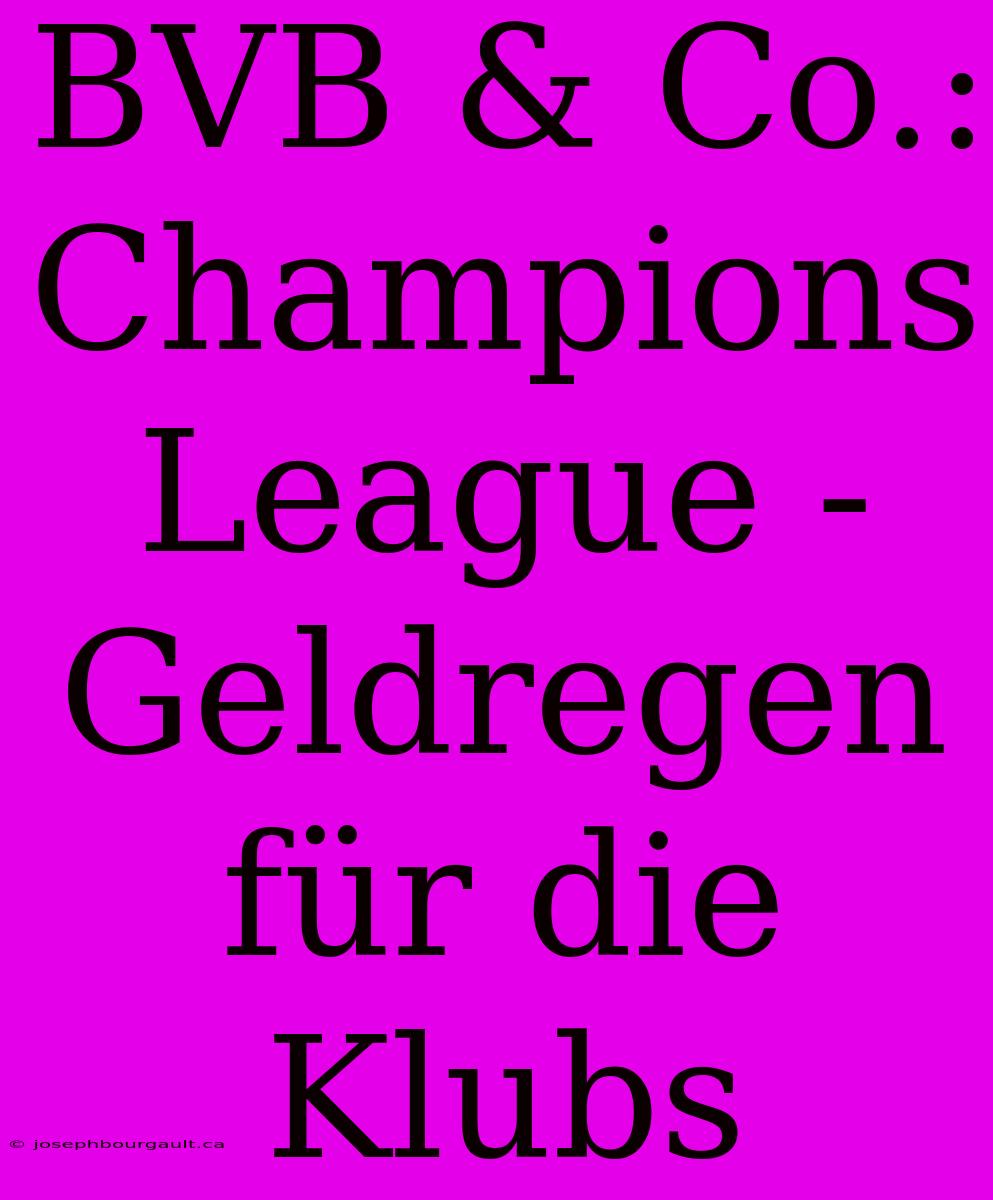 BVB & Co.: Champions League - Geldregen Für Die Klubs