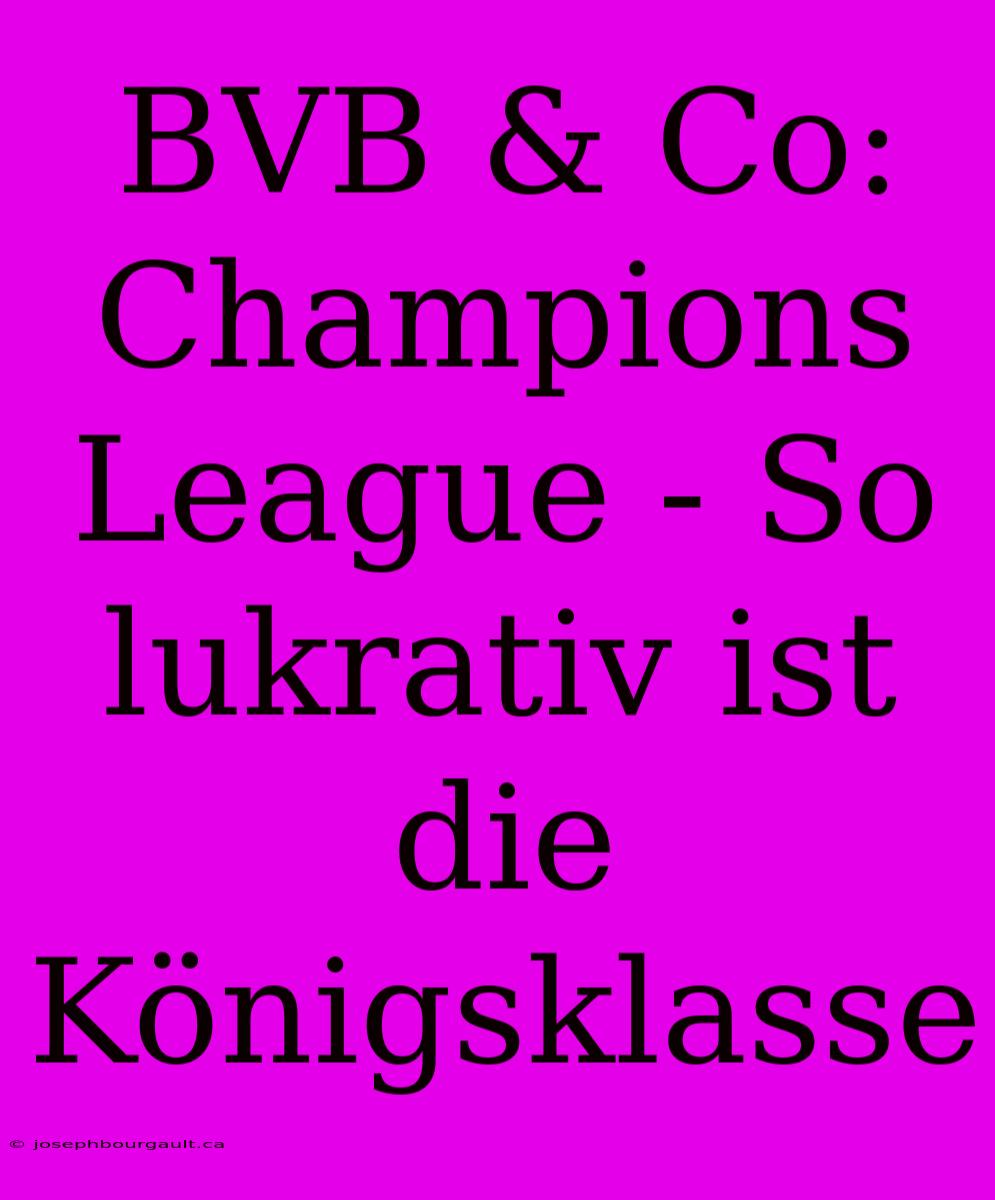 BVB & Co: Champions League - So Lukrativ Ist Die Königsklasse