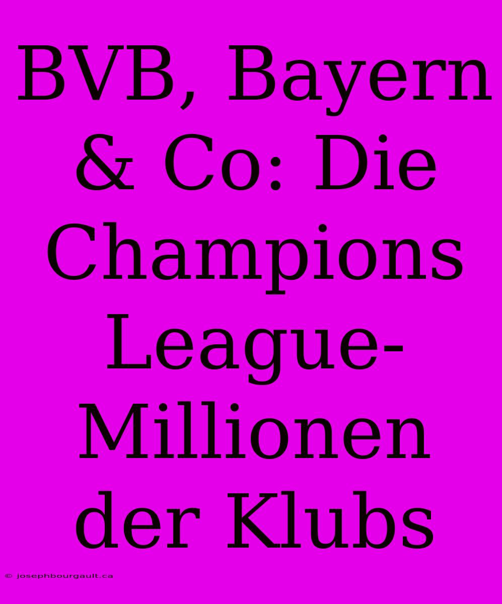 BVB, Bayern & Co: Die Champions League-Millionen Der Klubs