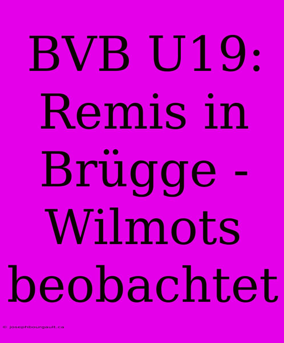 BVB U19: Remis In Brügge - Wilmots Beobachtet