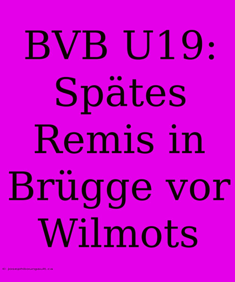 BVB U19: Spätes Remis In Brügge Vor Wilmots