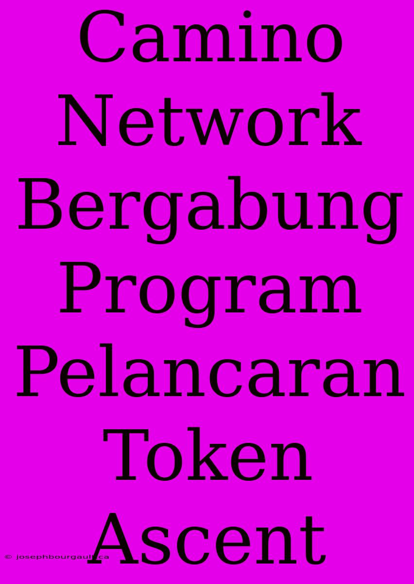 Camino Network Bergabung Program Pelancaran Token Ascent