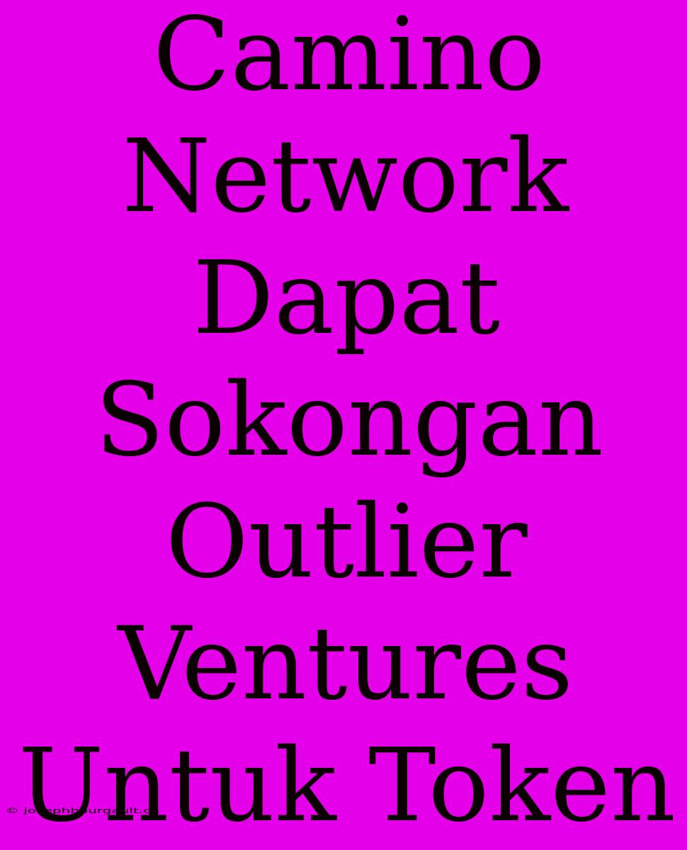 Camino Network Dapat Sokongan Outlier Ventures Untuk Token