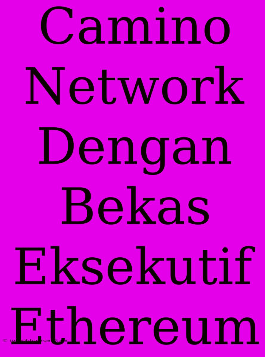 Camino Network Dengan Bekas Eksekutif Ethereum