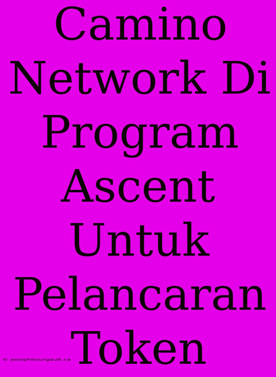 Camino Network Di Program Ascent Untuk Pelancaran Token