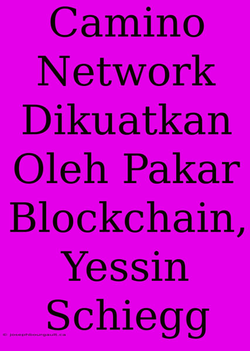 Camino Network Dikuatkan Oleh Pakar Blockchain, Yessin Schiegg