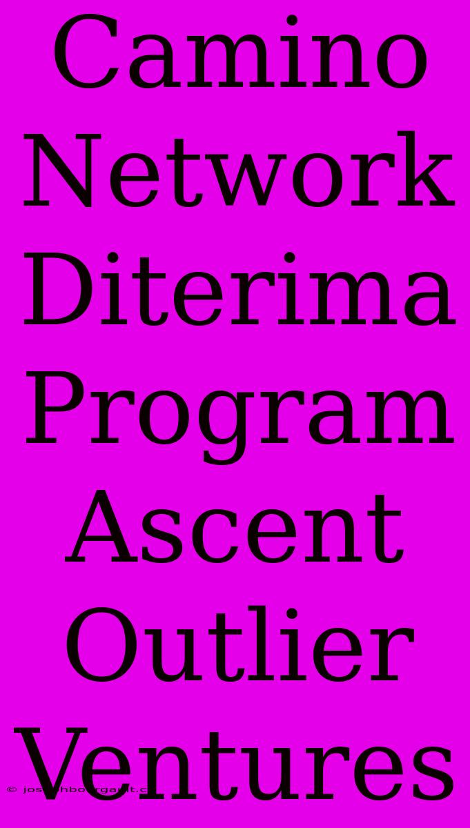 Camino Network Diterima Program Ascent Outlier Ventures