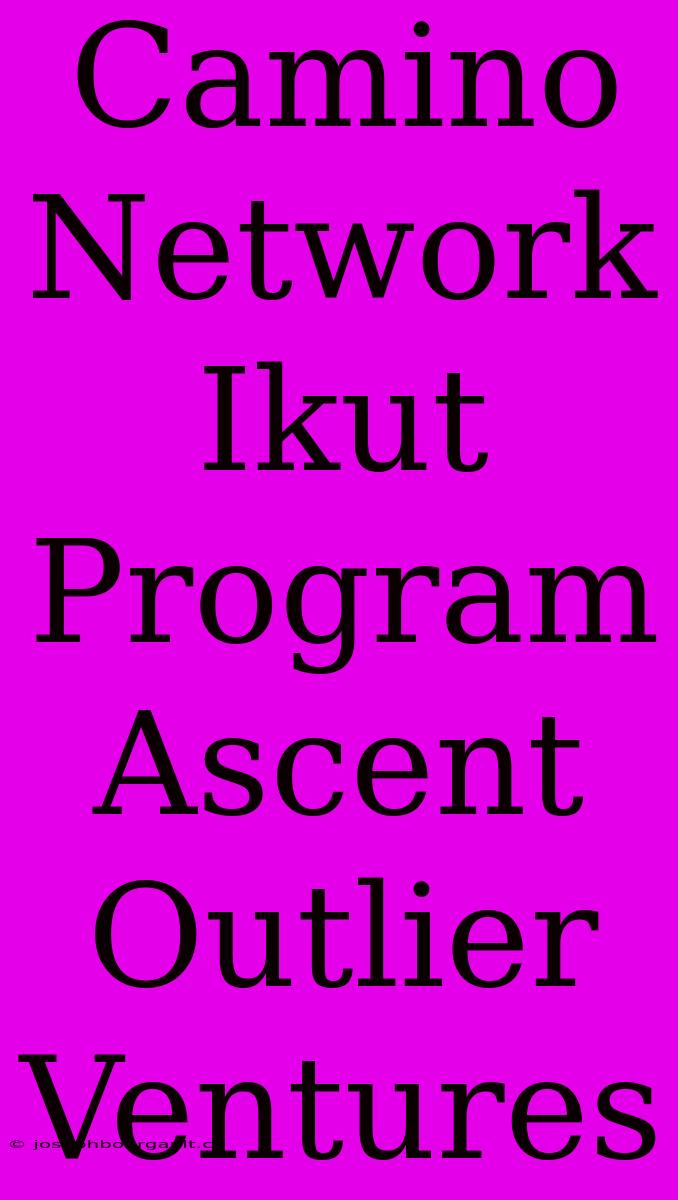 Camino Network Ikut Program Ascent Outlier Ventures