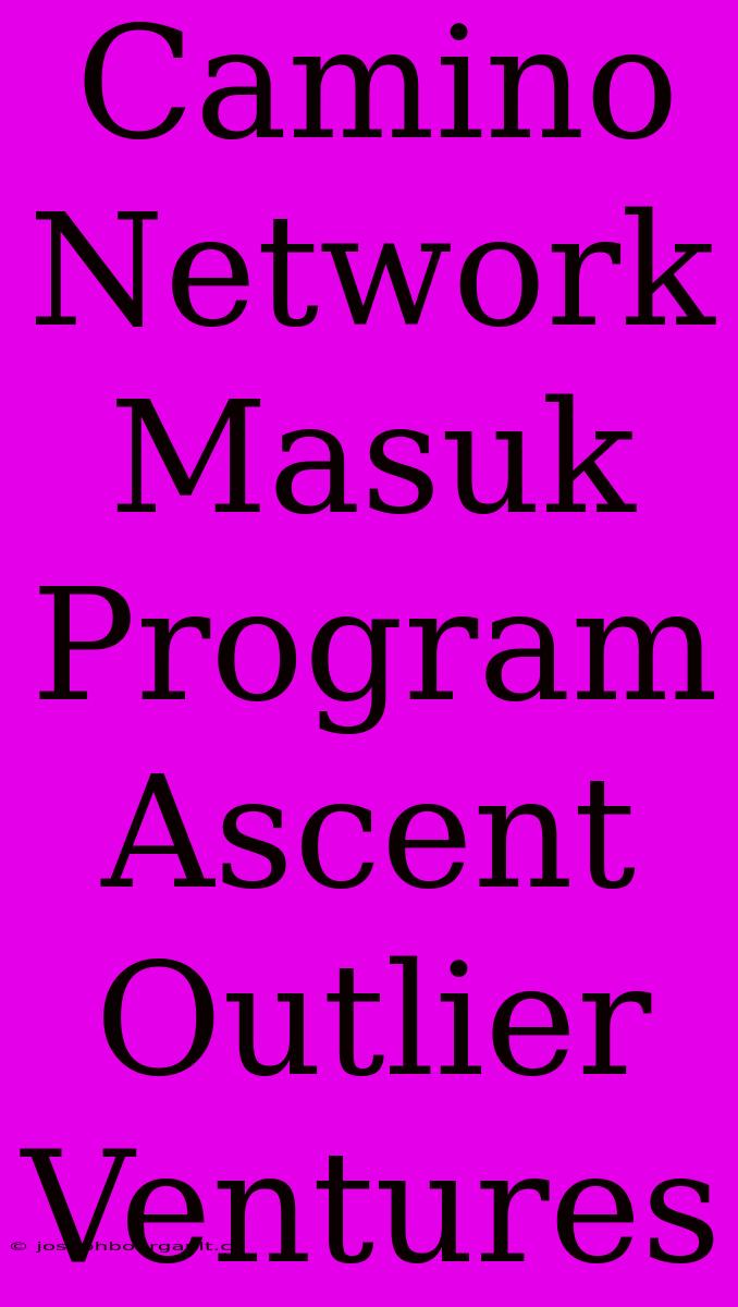 Camino Network Masuk Program Ascent Outlier Ventures