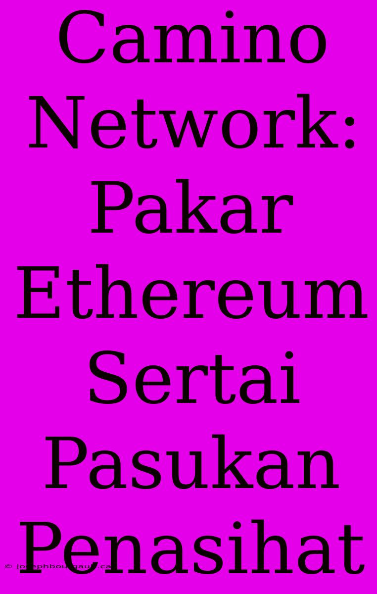 Camino Network: Pakar Ethereum Sertai Pasukan Penasihat